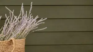 James Hardie fiber cement siding on a Denver, Colorado home